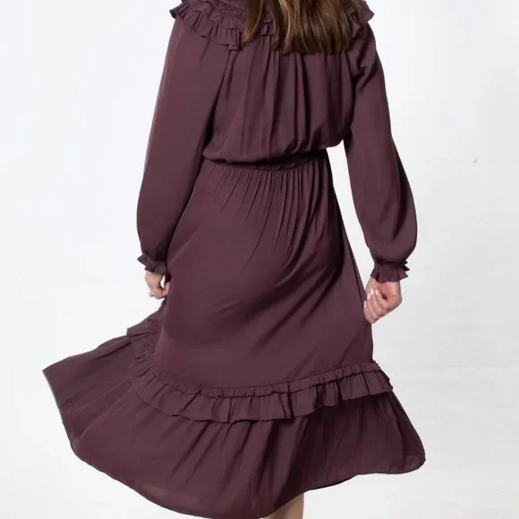 ⭐️CURRENT AIR DRESS WITH RUFFLE TRIM - Picture 6 of 6